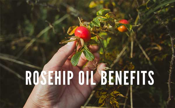 rosehip oil