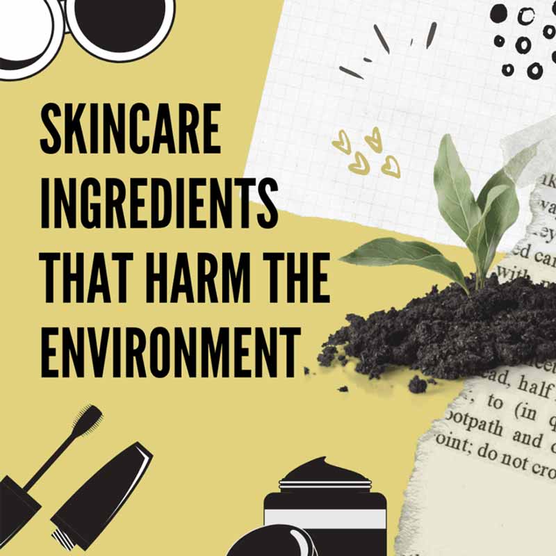 Skincare Ingredients That Harm the Environment