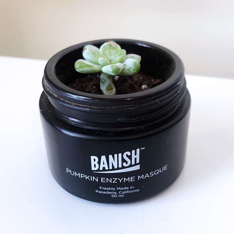Banish's Recycling Program - Make Every Day Earth Day By Recycling And Reusing recycling empty banish jars