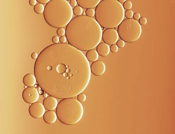 what's ferulic acid