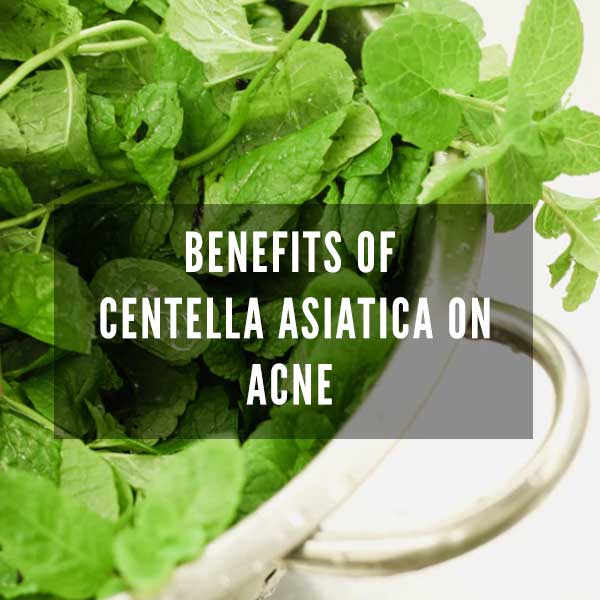 benefits-of-centella