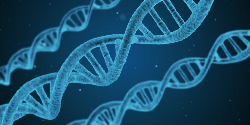 Is Acne Genetic?