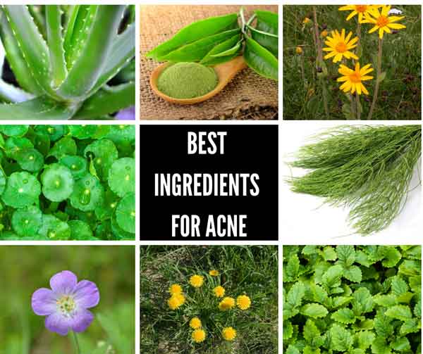 plant based ingredients for acne
