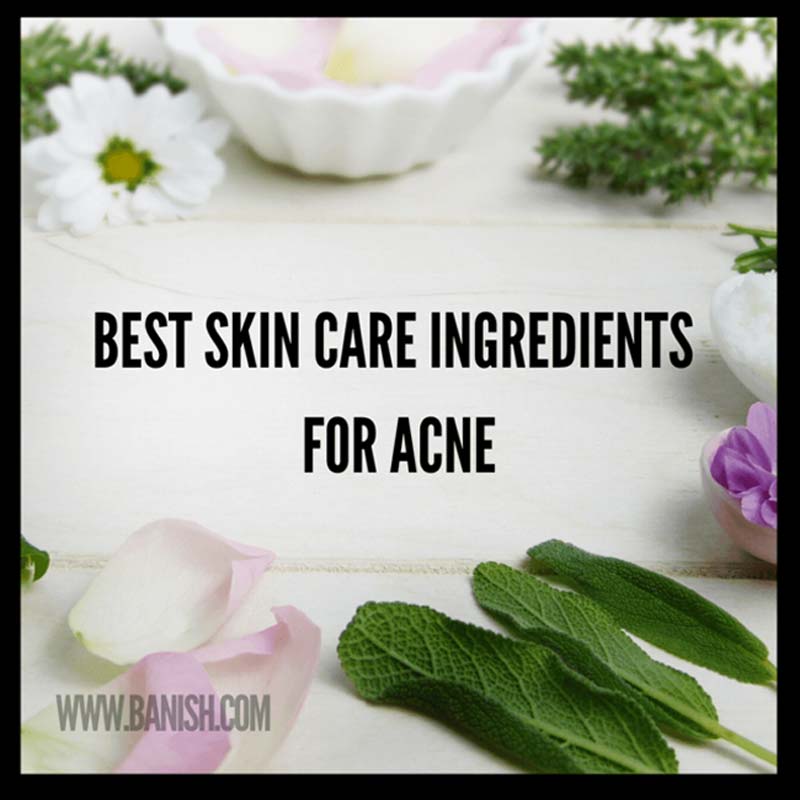 best organic skincare ingredients for acne