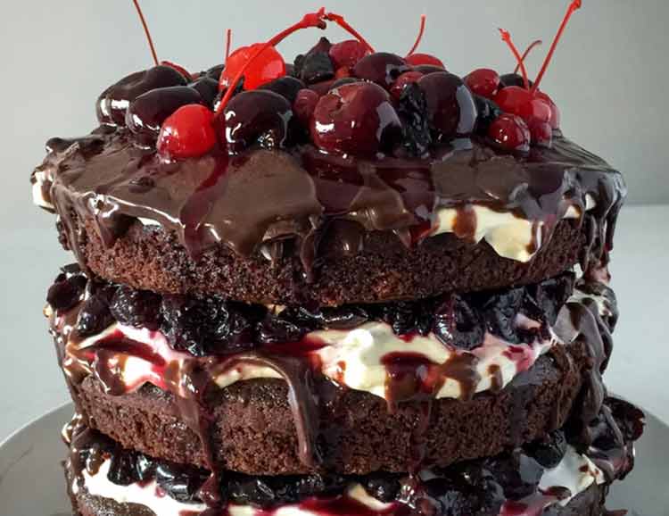 chocolate layered cake 