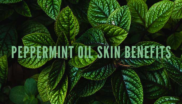 Skin Benefits of Peppermint for Acne